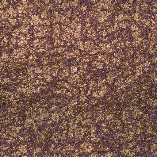 Variation 7