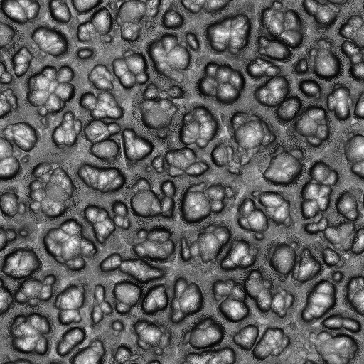 Ambient Occlusion Map