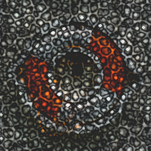 Variation 5