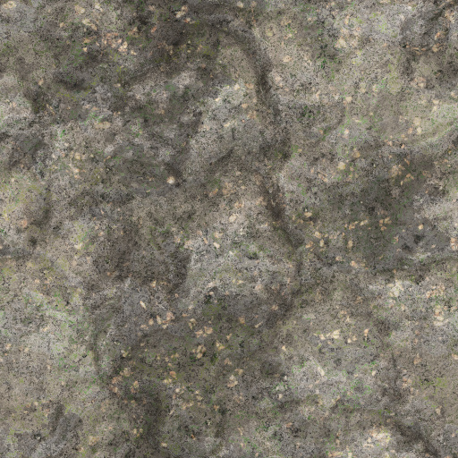 Variation 4