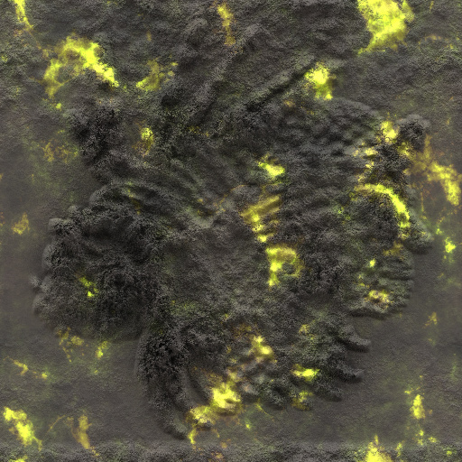 Variation 3