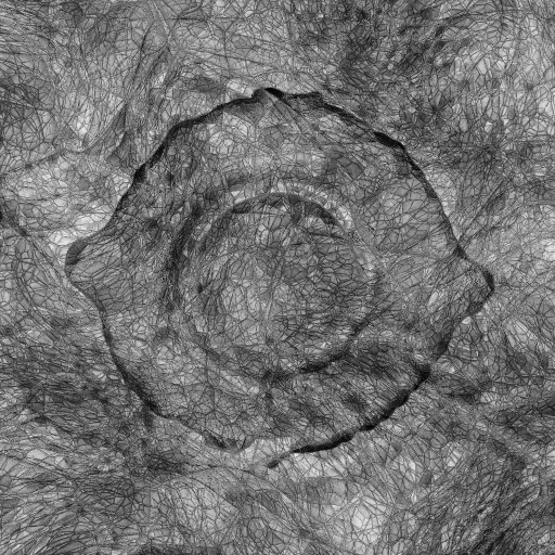 Ambient Occlusion Map