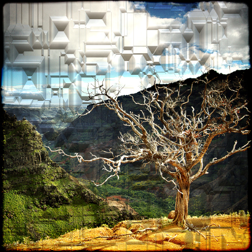 Variation 5