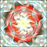 S1 Flowers