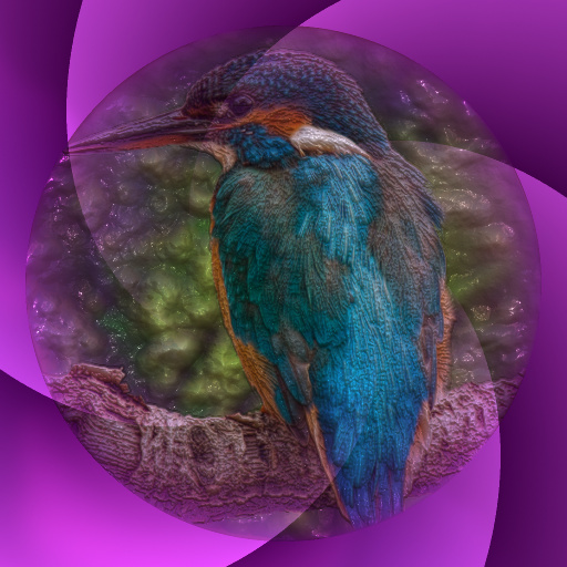 Variation 4