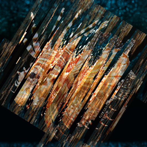 Variation 7