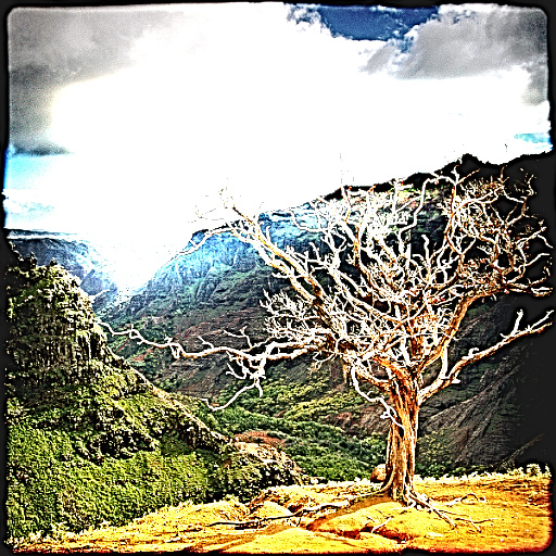Variation 8