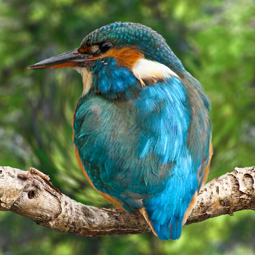 Variation 3