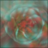 The Ghost Flower