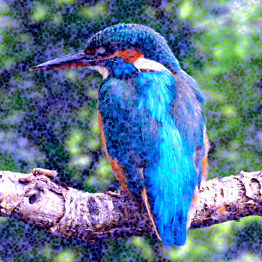 Variation 8
