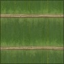 Bamboo texture