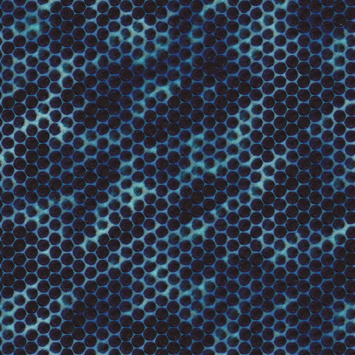Variation 7