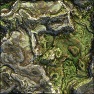 Landform