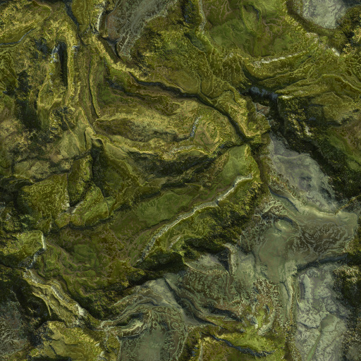 Variation 4