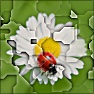 Photo FreakShow#5 (Layer Face)v4.0