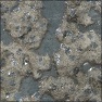 Raindrops and Water Puddle