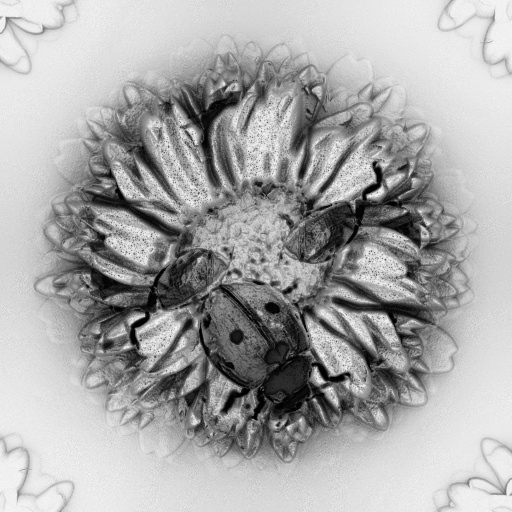 Ambient Occlusion Map