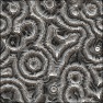 3D Grayscale Fancy Cells (Snippet)