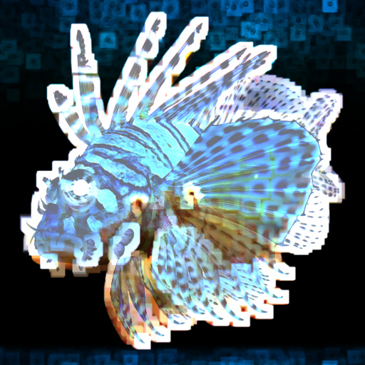 Variation 7