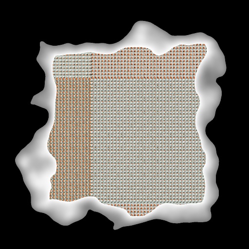 Variation 8