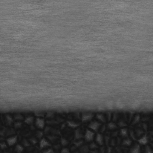 Bump Map