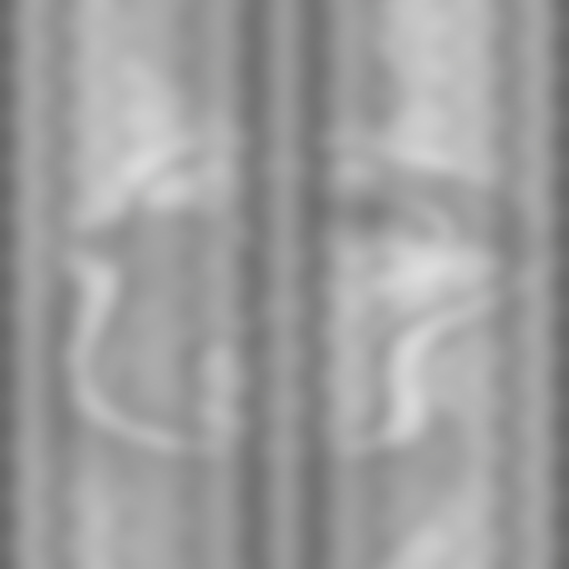 Bump Map