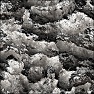 Texture #53 Snippet