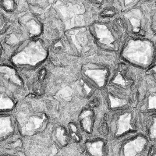 Ambient Occlusion Map