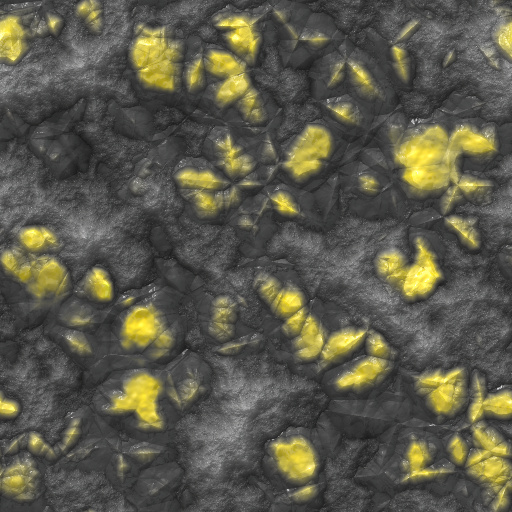 Variation 1
