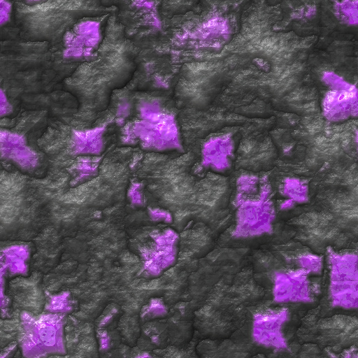 Variation 3