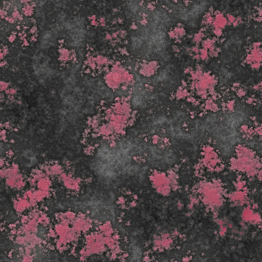Variation 6