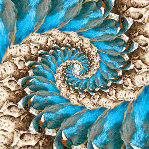 Variation 1