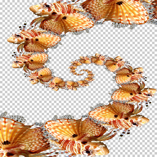 Variation 3