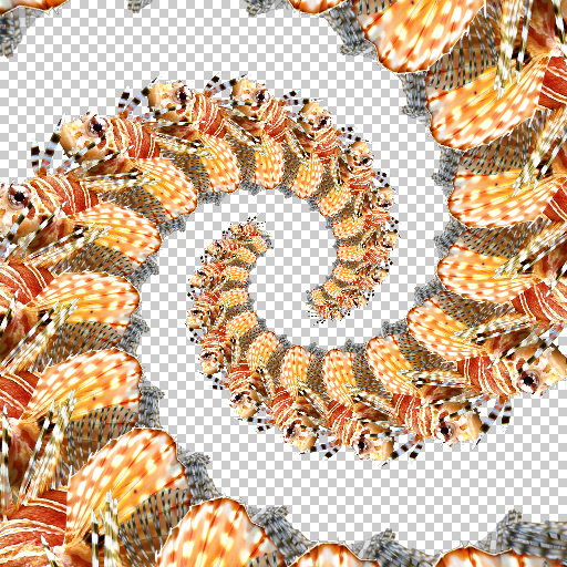 Variation 4