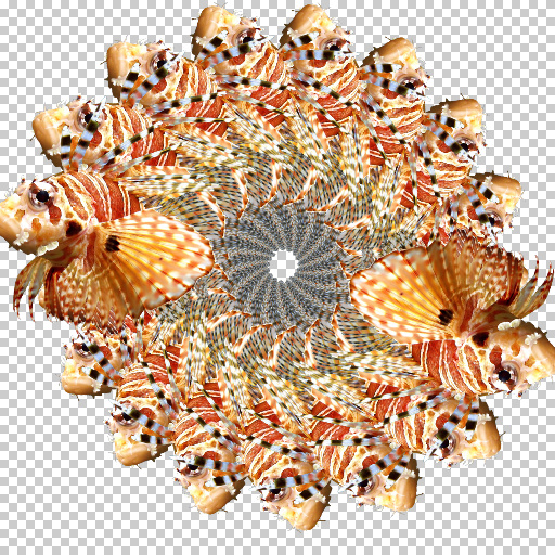 Variation 5