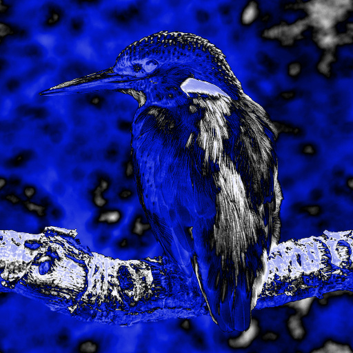 Variation 1