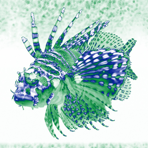 Variation 4