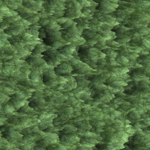 Variation 4