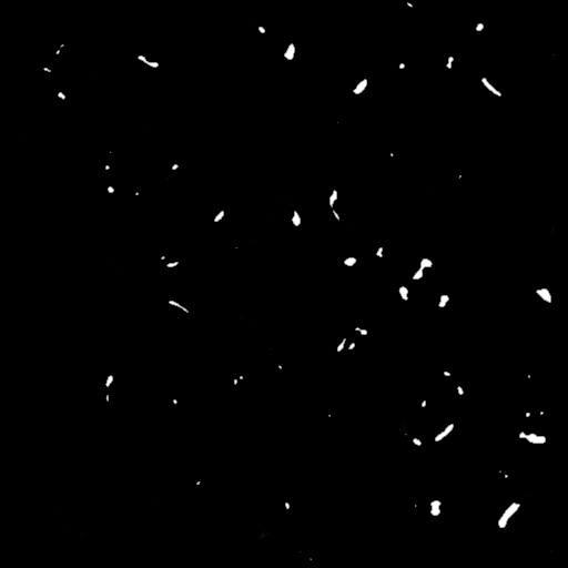 Ambient Occlusion Map