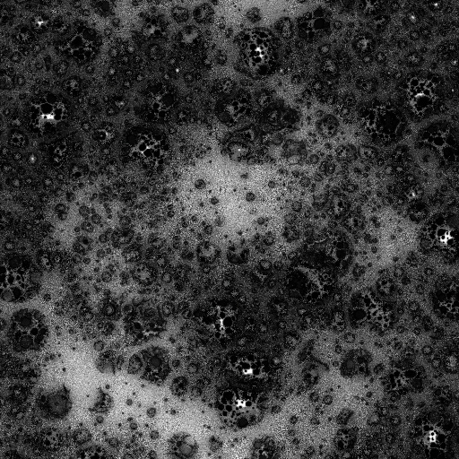 Ambient Occlusion Map