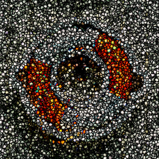 Variation 7