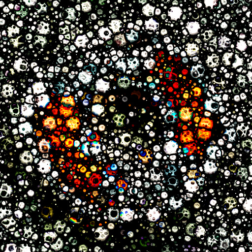 Variation 8
