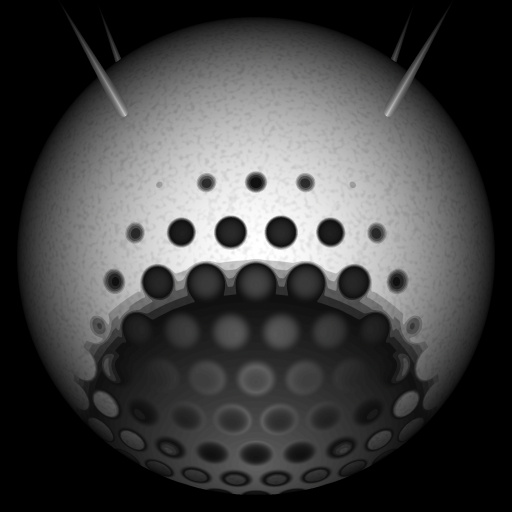Bump Map