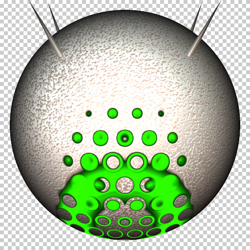 Variation 5