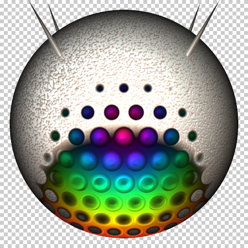 Variation 7