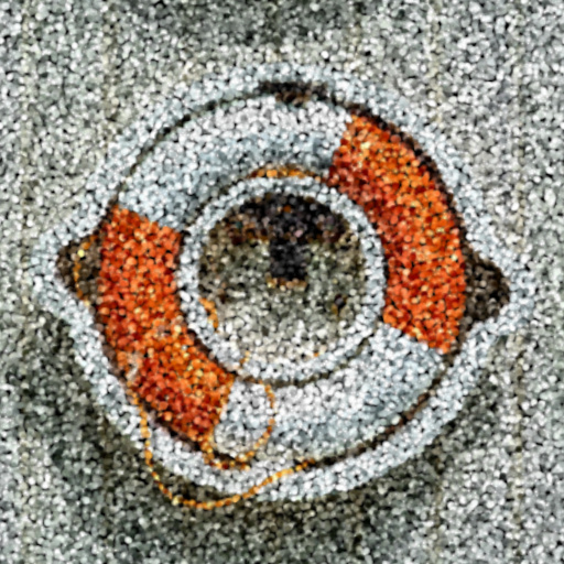 Variation 7