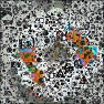 PolyMicro - Drawings on the Wall