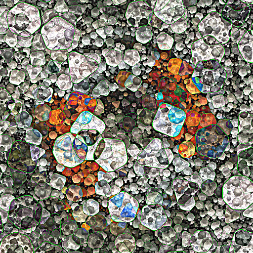 Variation 1