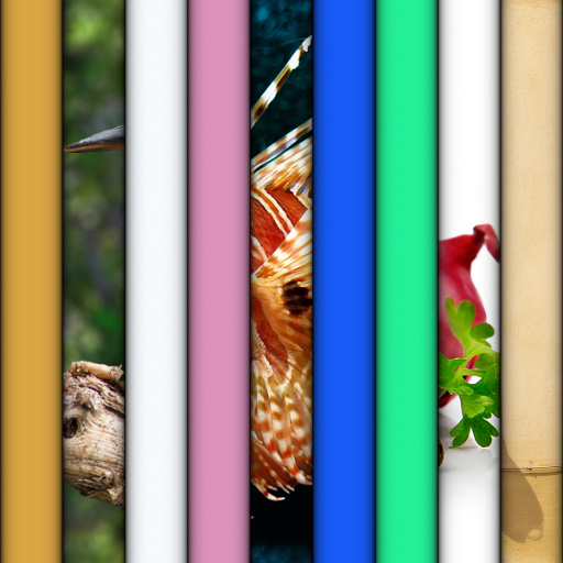Variation 4