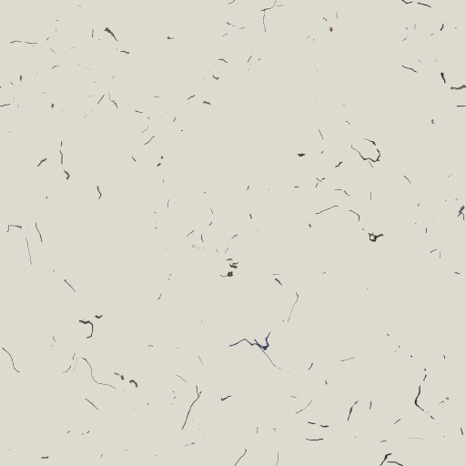 Variation 1